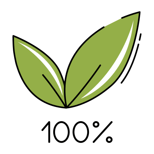 Pure Vegetarian Dine-In Experience